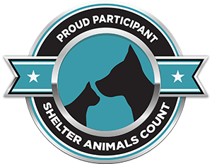 Shelter Animals Count | The National Database